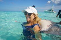 Half-Day Adventure Stingray City, Snorkeling, Starfish Point 