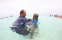 Half-Day Adventure Stingray City, Snorkeling, Starfish Point 