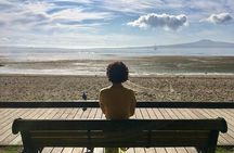 Private Half-Day Volcano Tour from Auckland