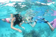 Half-Day Adventure Stingray City, Snorkeling, Starfish Point