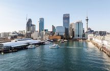 Auckland Harbour Cruise