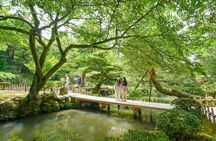 Kanazawa Half-day Tour: Curated: Gardens, Craft & Geisha District