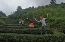 Private Tianluokeng Tulou Tour from Xiamen with Hakka Lunch