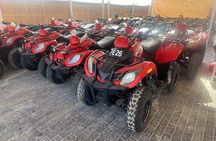 Qatar Desert Safari with Quad Bike Adventure - 250cc 