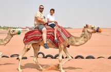 Desert Safari With BBQ Dinner,Quad Ride Falcon Photo Sandboarding