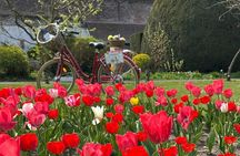 Bruges Intimate Bike Tour Highlights & Gems, Small group (max 8)