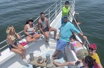 2 Hour Dolphin Watching Adventure in Calabash