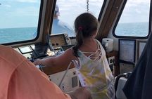 2 Hour Dolphin Watching Adventure in Calabash