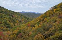 Catawba Waterfall Hike Half Day Tour