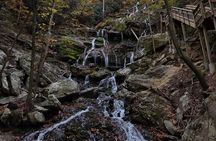 Catawba Waterfall Hike Half Day Tour