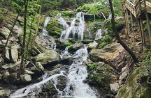 Catawba Waterfall Hike Half Day Tour