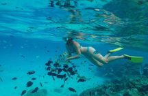 Swim with Turtles and Dugong Snorkeling at Marsa Mubarak Bay