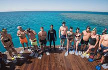 Swim with Turtles and Dugong Snorkeling at Marsa Mubarak Bay