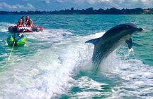 Siesta Key 2 Hour Private Charter- Siestas Best Dolphin Tour