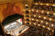 Guided tour of the Colón Theatre in Buenos Aires