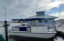 3 Hour Keewaydin Island Shelling Adventure