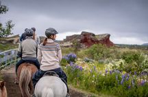 Icelandic Horseback Riding Tour from Reykjavik