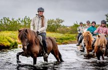 Icelandic Horseback Riding Tour from Reykjavik