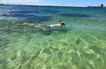 Siesta Key 4 Hour Private Charter, Many Options, Most Popular!