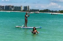 Siesta Key 4 Hour Private Charter, Many Options, Most Popular!