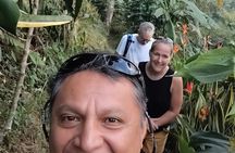 Organic Coffee Tour in the Sierra de Pluma Hidalgo