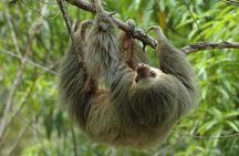 Manuel Antonio: A Private Rainforest & Beach Sanctuary