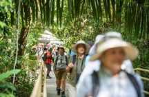 Manuel Antonio: A Private Rainforest & Beach Sanctuary