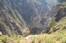 Colca 2 days, with 2.5 hour hiking plus hotel included
