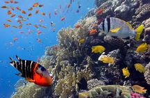VIP Snorkeling Yacht Tour in Cancun and Isla Mujeres