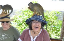 Puerto plata: Waterfalls Monkeys and beach tour Pick up included