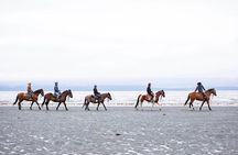 Beach Horse Riding Experience in Homer
