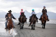 Beach Horse Riding Experience in Homer