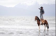 Beach Horse Riding Experience in Homer