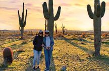 Private Arizona Desert Guided E-bike Adventure