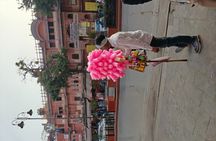  Private Guided City Tour of Jaipur 