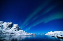 Arctic Fjord Explorer: Mountains, Coast & Hidden Beaches