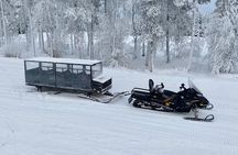 Arctic Forest Snowmobile Sleigh Ride with Snacks