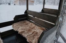 Arctic Forest Snowmobile Sleigh Ride with Snacks
