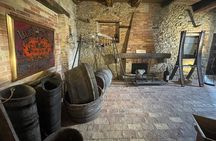 Monforte d'Alba: wine and cheese experience