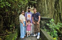 All Inclusive Ubud Tour Sacred Monkey Forest and Rice Terraces
