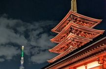 Night town and Cherry Light-up tour and Modern Samurai show