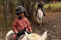 45 Minute Scenic Horseback Trail Ride