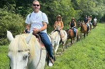45 Minute Scenic Horseback Trail Ride