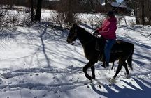 45 Minute Scenic Horseback Trail Ride