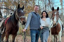45 Minute Scenic Horseback Trail Ride