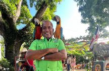 Damajagua Waterfalls Adventure Tour