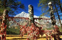 Jade Dragon Snow Mountain Glacier + Spruce Cableway
