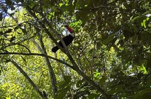 Full Day Iguassu Falls Both Sides Argentina and Brazil