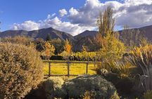 Organic Vineyard, Wine, Pisco, Cheese and Flame Farm Tour