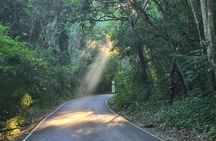 Calakmul and Bat Cave Tour from Bacalar